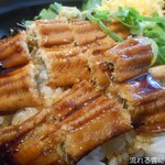 魚魚 - 穴子丼