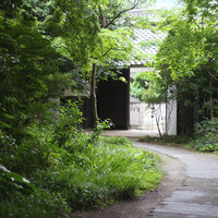 エヴァム・エヴァ・ヤマナシ・アジ - 