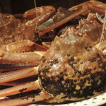 富小路 やま岸 - 