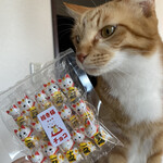 御菓子司　ふくさ屋 - ２歳５ヶ月になったモナカと招き猫チョコ（310円）