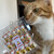 御菓子司　ふくさ屋 - その他写真:２歳５ヶ月になったモナカと招き猫チョコ（310円）