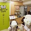 パンダ茶房 by銀座清月堂 - 東京旅行1日目、御徒町にある『心洗庵』でお蕎麦ランチをいただいたボキら。お次は松坂屋上野店にやってきました。お目当ては『毎日パンダCAFE by茶寮銀座清月堂』だよ～ 