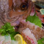 カーサ・タケダ - 