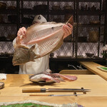 Sushi Shizuku - 