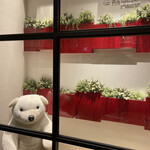 Shirokuma cafe - 