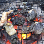 河の家 - センマイ