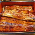 うなぎ亭 友栄 - うな重