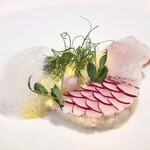 Alchimiste - 静岡県 駿河湾 赤座海老 × 菊