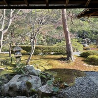 高台寺 十牛庵 - 