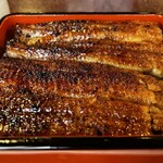 うなぎ 桜家 - うなぎ重箱（1匹）