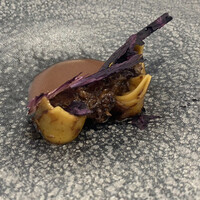 クイントカント - 