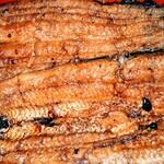 川京 - 料理写真: