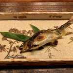 霞町 やまがみ - 子持鮎