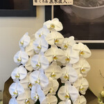 Japanese Soba Noodles 蔦 - 開店祝いのお花