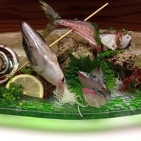 中洲鷹勝 本店 - 