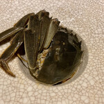 茶禅華 - 酔大閘蟹（上海蟹の紹興酒漬 雌）