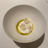 カンテサンス - 