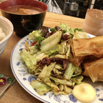 イワサキクラブ - A定食 [ホタルイカと新きゃべつの柚子こしょう炒めと手作り春巻]