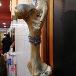 一条流がんこ総本家分家四谷荒木町 - 