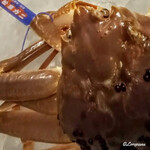 御料理 寺沢 - 松葉蟹