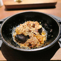cenci - 