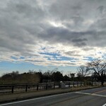 さかなどころ ともさき - 