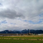 さかなどころ ともさき - 