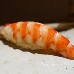 鮨 さいとう - 車海老