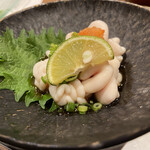 じき - 根室　真だちたちぽん酢