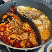 CINA New Modern Chinese - 