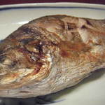 焼酎と手しごと料理の店　まさや - 