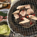 Taishuu Yakiniku Horumon Sakaba Toriton - 