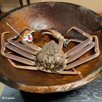 日本料理 新茶家 - 越後産の活本ずわいがに