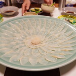 日向灘産とらふぐ