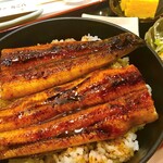 日比野市場鮮魚浜焼きセンター - うな丼