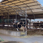 串焼き BUBU-TON - 