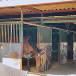 串焼き BUBU-TON - 