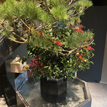 田中田 西麻布店 - 