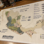 クイシェ メスカレリア - 珍しいメキシコのアガベ地図