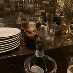 9 nove - ブタさん