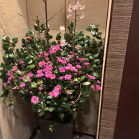 銀座 蟹みつ - 