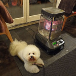 Smoke & Vegetable Bistro SARU - 満席です