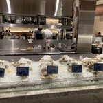 BOSTON Seafood Place - 産地ごとに生牡蠣が陳列