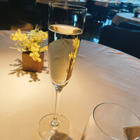 Wattle Tokyo - 