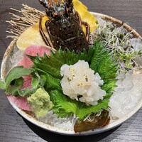 伊勢海老のお造り-Ise lobster sashimi "Ise ebi"
