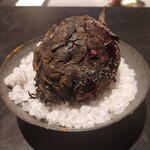 フロリレージュ - (2022年1月　訪問)ビーツ。オブジェになりそうなビジュアル。