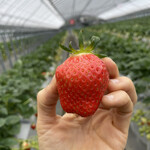 姫路ハートフル観光農園 - 