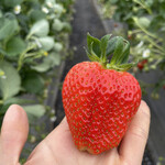 姫路ハートフル観光農園 - 