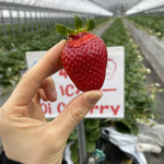 姫路ハートフル観光農園 - 