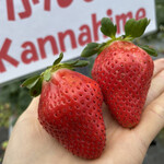 姫路ハートフル観光農園 - 